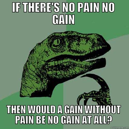 IF THERE'S NO PAIN NO GAIN THEN WOULD A GAIN WITHOUT PAIN BE NO GAIN AT ALL? Philosoraptor