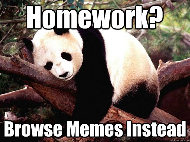Homework? Browse Memes Instead  Procrastination Panda