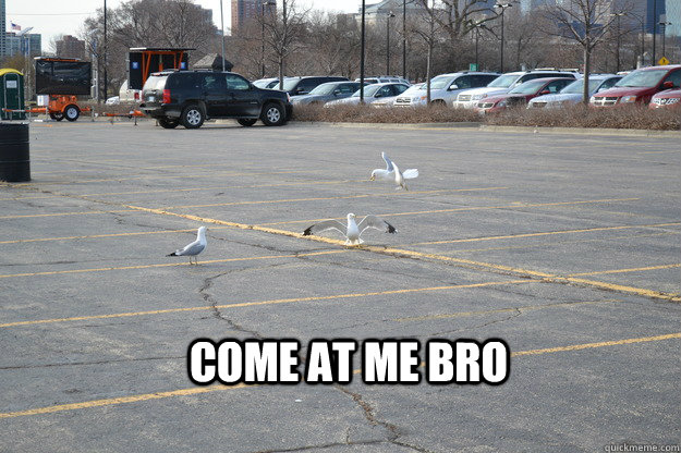 Come At Me Bro  Come at me bro