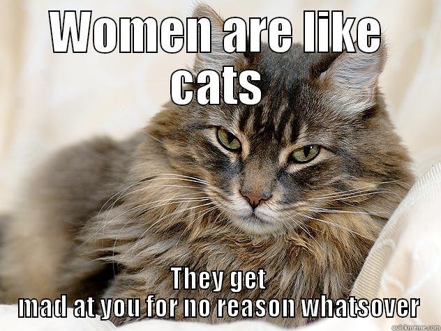 cats and women - WOMEN ARE LIKE CATS THEY GET MAD AT YOU FOR NO REASON WHATSOVER Misc