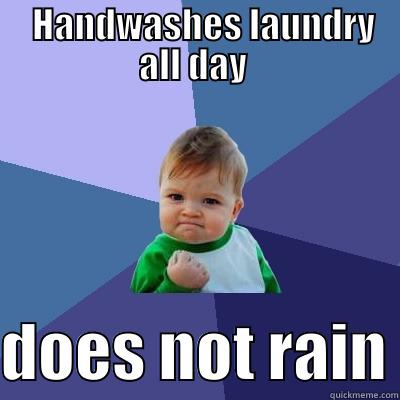   HANDWASHES LAUNDRY ALL DAY   DOES NOT RAIN Success Kid