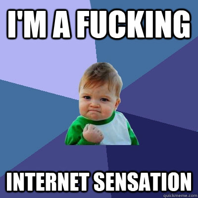 I'm a fucking internet sensation - I'm a fucking internet sensation  Success Kid