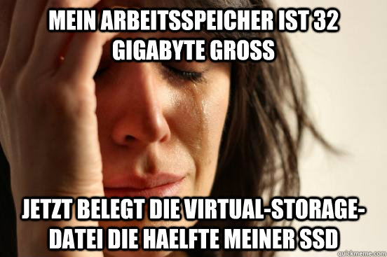 Mein arbeitsspeicher ist 32 Gigabyte grosS Jetzt belegt die Virtual-Storage-datei die hAElfte meiner SSD  First World Problems