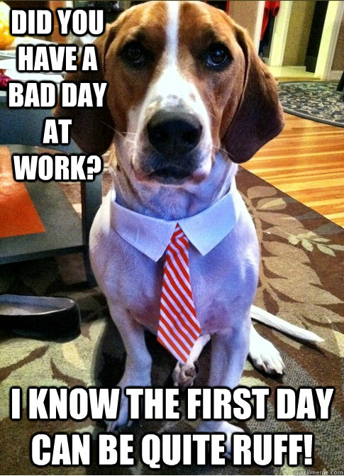 Did you have a bad day at work? I know the first day can be quite RUFF! - Did you have a bad day at work? I know the first day can be quite RUFF!  Misc