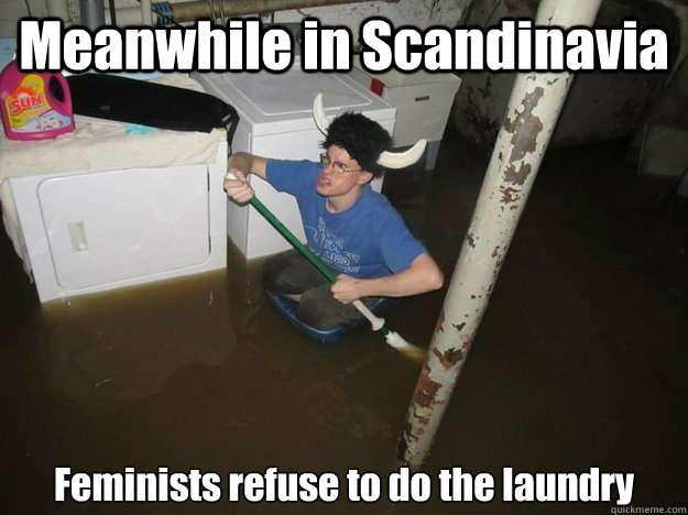 Meanwhile in Scandinavia Feminists refuse to do the laundry  Laundry viking
