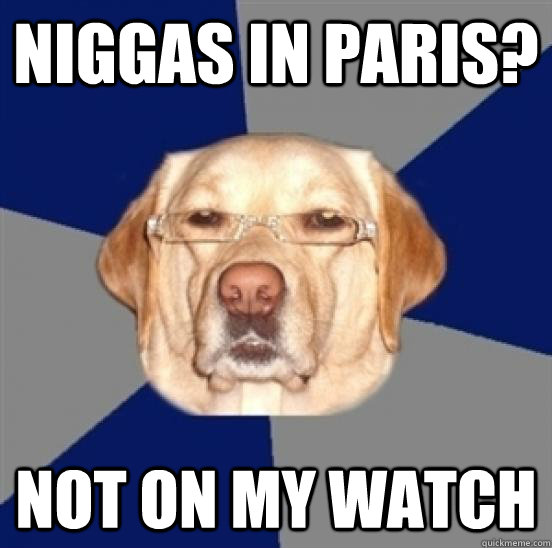 niggas in paris? not on my watch  Racist Dog