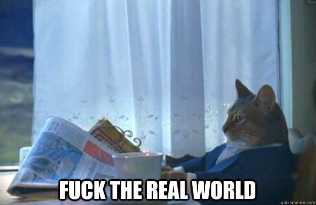  Fuck the real world  Sophisticated Cat