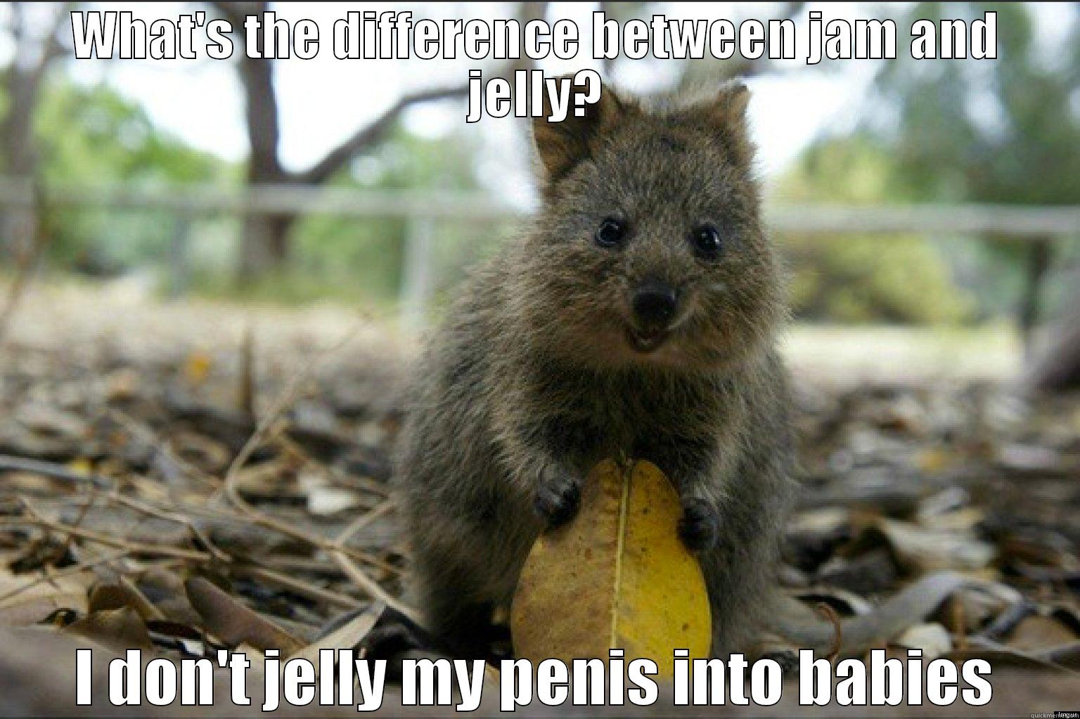 Offensive Joke Quokka - WHAT'S THE DIFFERENCE BETWEEN JAM AND JELLY? I DON'T JELLY MY PENIS INTO BABIES Misc