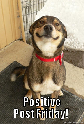   POSITIVE POST FRIDAY! Good Dog Greg