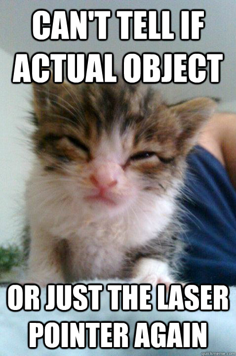 Can't tell if actual object or just the laser pointer again - Can't tell if actual object or just the laser pointer again  Skeptical Kitten