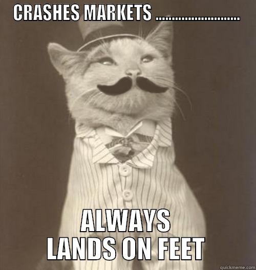 CRASHES MARKETS .......................... ALWAYS LANDS ON FEET Original Business Cat