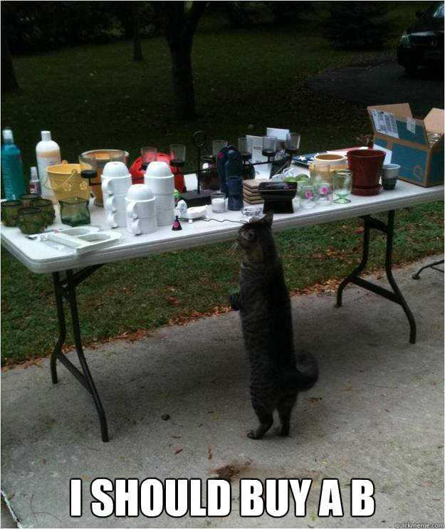 I should buy a B  Yard Sale Cat