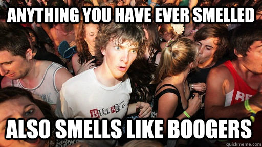 Anything you have ever smelled also smells like boogers   Sudden Clarity Clarence
