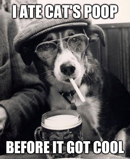 I ate cat's poop Before it got cool  Hipster Dog