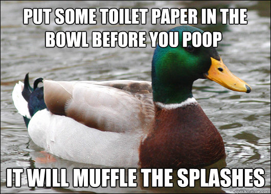  put some toilet paper in the bowl before you poop it will muffle the splashes   Actual Advice Mallard