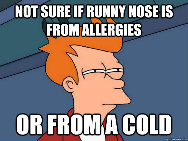 Not sure if runny nose is from allergies Or from a cold - Not sure if runny nose is from allergies Or from a cold  Futurama Fry