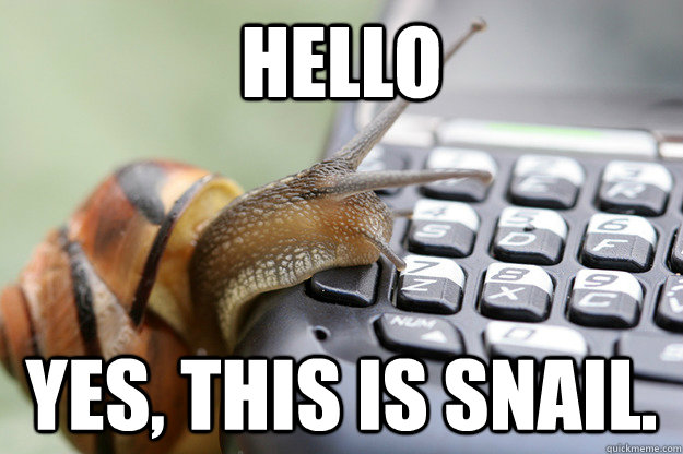 hello yes, this is snail.  sophisticated snail