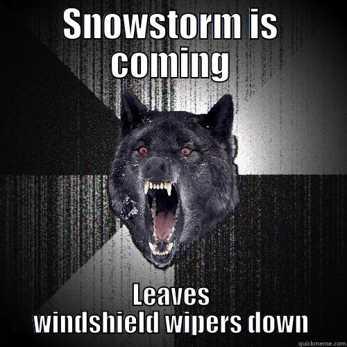 SNOWSTORM IS COMING LEAVES WINDSHIELD WIPERS DOWN Insanity Wolf