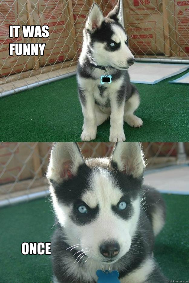 It was 
funny Once  Insanity puppy