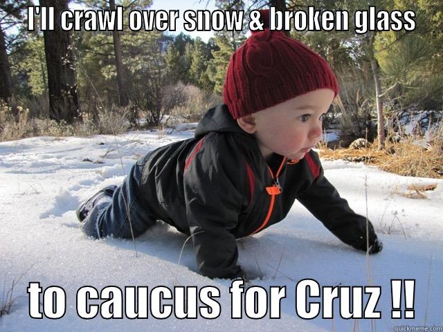 I'LL CRAWL OVER SNOW & BROKEN GLASS     TO CAUCUS FOR CRUZ !!   Misc