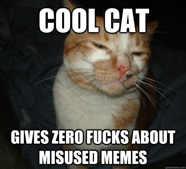 cool cat gives zero fucks about misused memes  Cool Cat Craig