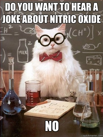 Do you want to hear a joke about Nitric Oxide NO  Chemistry Cat