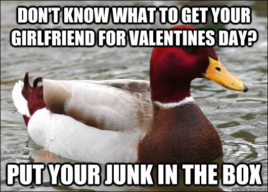 Don't know what to get your girlfriend for valentines day? Put your junk in the box  Malicious Advice Mallard