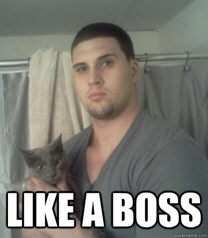  LIKE A BOSS  