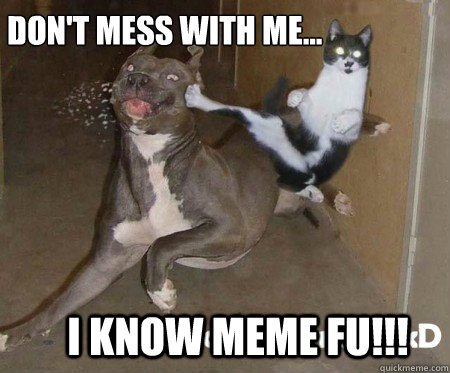 I Know Meme Fu!!! Don't Mess with me... - I Know Meme Fu!!! Don't Mess with me...  Kung Fu Cat