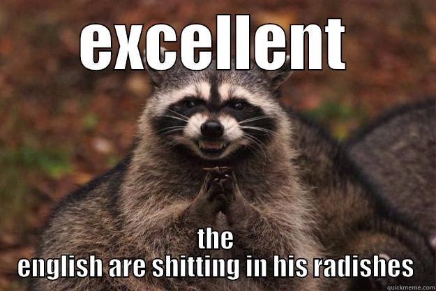 shitting in radishes - EXCELLENT THE ENGLISH ARE SHITTING IN HIS RADISHES Evil Plotting Raccoon