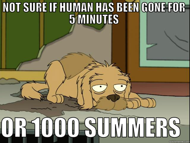 NOT SURE IF HUMAN HAS BEEN GONE FOR 5 MINUTES  OR 1000 SUMMERS  Misc