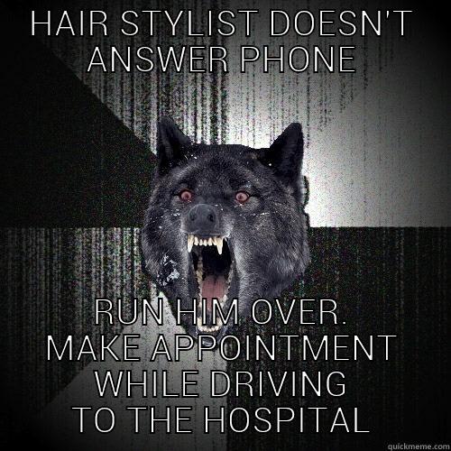 HAIR STYLIST DOESN'T ANSWER PHONE RUN HIM OVER. MAKE APPOINTMENT WHILE DRIVING TO THE HOSPITAL Insanity Wolf
