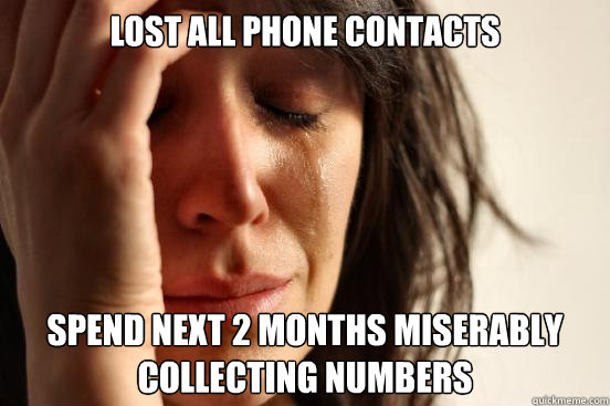 lost all phone contacts  spend next 2 months miserably collecting numbers  First World Problems