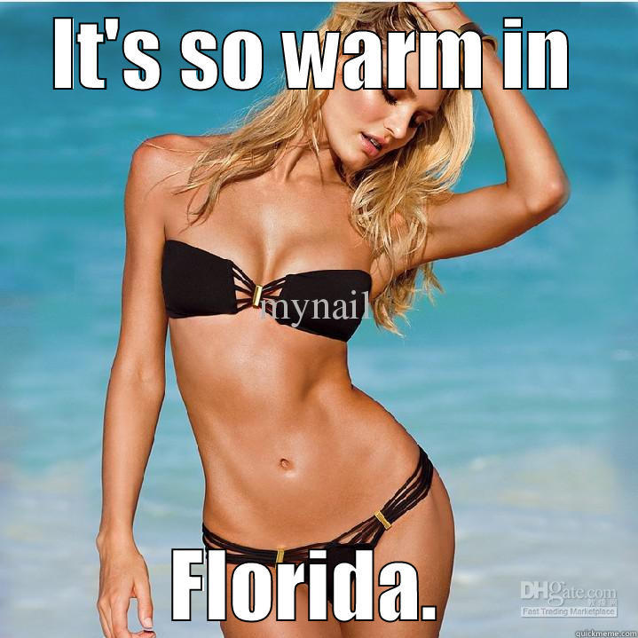 Meanwhile, in Florida - IT'S SO WARM IN FLORIDA.  Misc