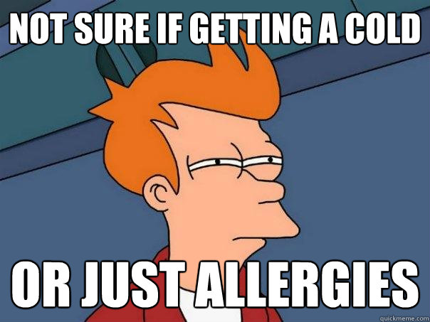 Not sure if getting a cold or just allergies  Futurama Fry