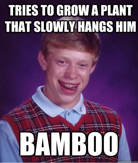 Tries to grow a plant that slowly hangs him Bamboo - Tries to grow a plant that slowly hangs him Bamboo  Bad Luck Brian