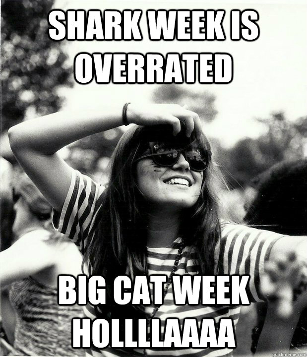 Shark Week is overrated Big Cat Week Hollllaaaa  Georgetown Hipster