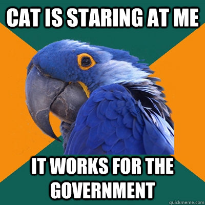 cat is staring at me it works for the government  Paranoid Parrot