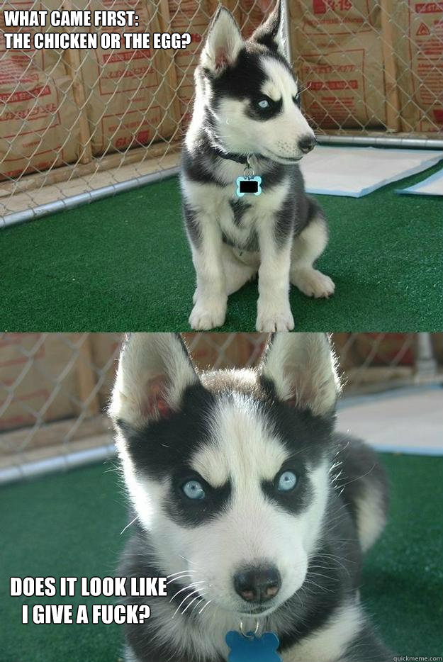 What Came first:
The Chicken or the egg? Does it look like 
   i give a fuck?  Insanity puppy