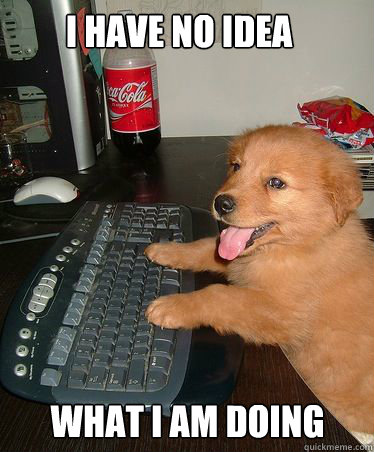I have no Idea what I am doing - I have no Idea what I am doing  I have no Ideawhat im doing