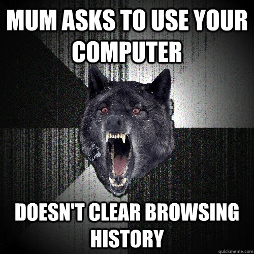Mum asks to use your computer doesn't clear browsing history  Insanity Wolf