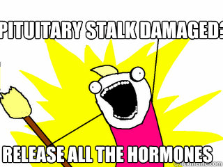 PItuitary stalk damaged? release all the hormones  All The Things