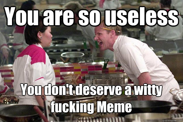 You are so useless You don't deserve a witty fucking Meme - You are so useless You don't deserve a witty fucking Meme  Misc