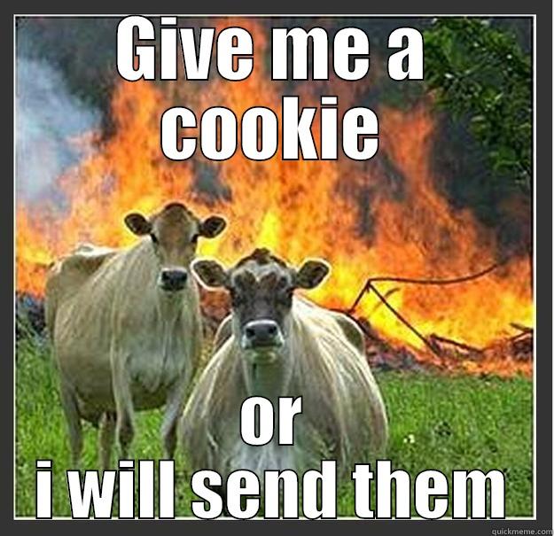 GIVE ME A COOKIE OR I WILL SEND THEM Evil cows