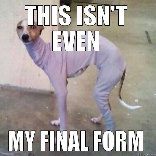 THIS ISN'T EVEN MY FINAL FORM Misc