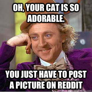 Oh, your cat is so adorable. You just have to post a picture on reddit  Creepy Wonka