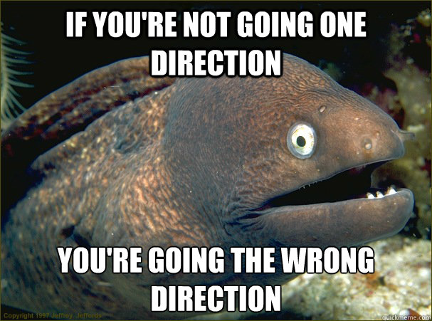 If you're not going One Direction you're going the wrong direction - If you're not going One Direction you're going the wrong direction  Bad Joke Eel