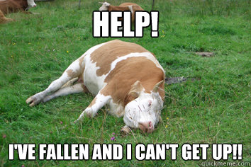 Help! I've Fallen and I can't get up!!  