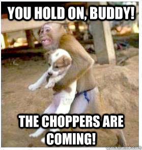 You hold on, Buddy! The choppers are coming!  Bad Ass Monkey