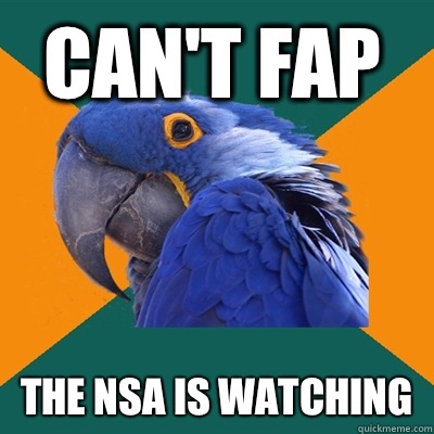 CAN'T FAP THE NSA IS WATCHING  Paranoid Parrot